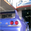 GRACER (115)