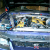 GRACER (35)