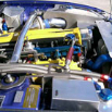 GRACER (47)