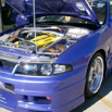 GRACER (51)