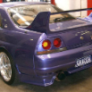 GRACER (55)