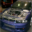 GRACER (81)