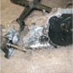 Parts (955)