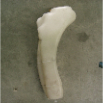 Parts (970)