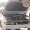 Workshop (246)