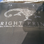 Bright Print R32 GTR (12)
