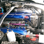Bright Print R32 GTR (16)