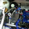 Terry's EVO (2)