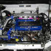 Terry's EVO