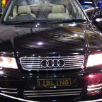 Auto Salon 2006 (142)