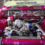 Auto Salon 2006 (206)