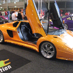 Auto Salon 2006 (80)