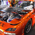 Auto Salon 2006 (94)