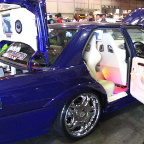 Auto Salon 2006 (96)